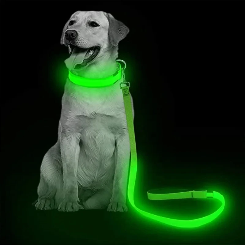 Led Haustier Hund Leine Seil Mit Licht Leuchtende Leine USB Lade für Hund Sicherheit Blinkende Leuchtende Kragen Harness Zubehör – Detail 9