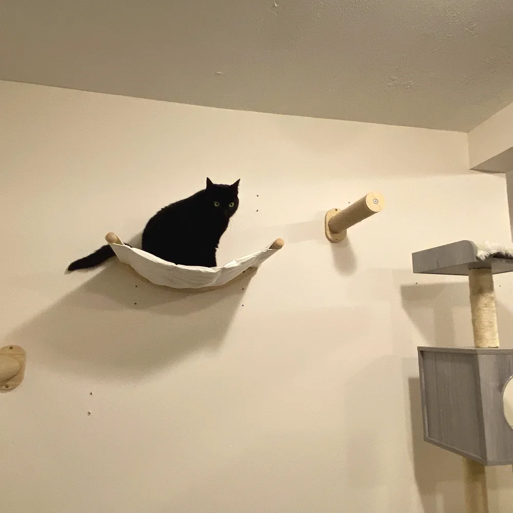 الحائط القط جدار تسلق الرفوف مجموعة خشبية أشجار القط برج هرش منصة القفز داخلي القطط ملحقات صالات الألعاب الرياضية لعبة