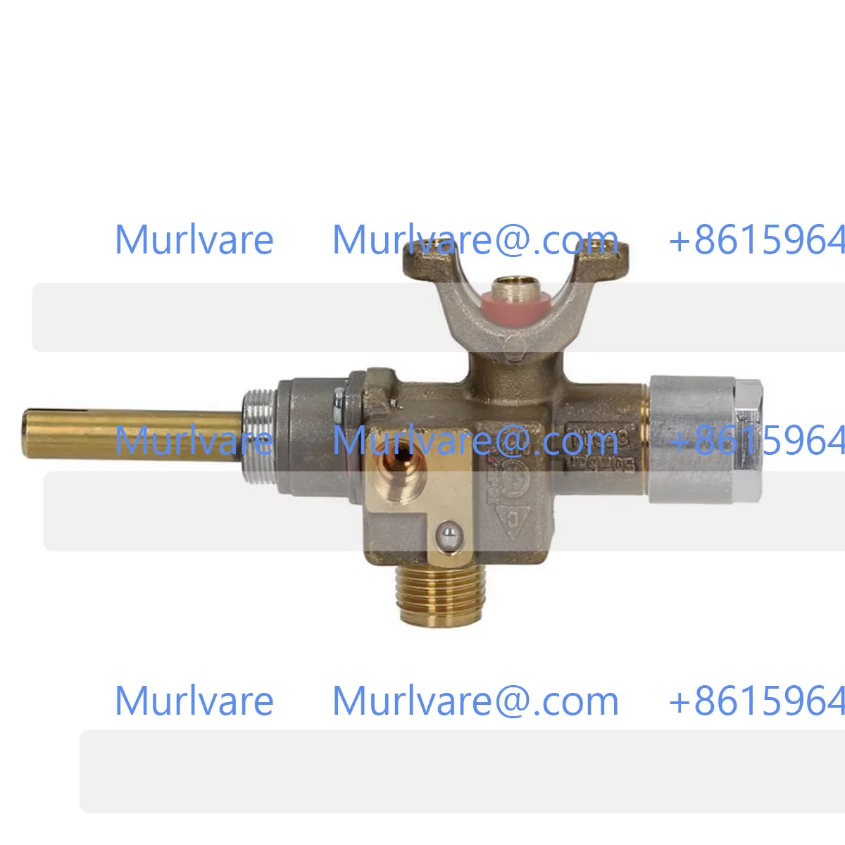 Rice Cooker Braised… - image