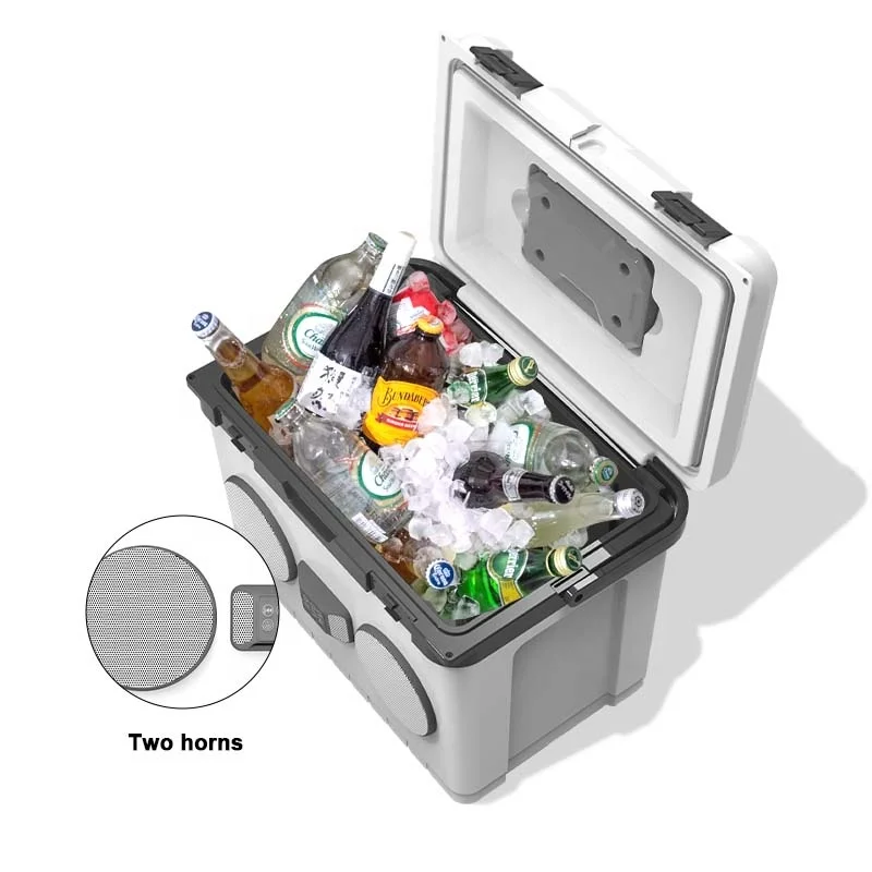 Factory Price 15L 20L 28L Portable Ice Chest Cooler Box Transport Medicine Waterproof Music Cooler Box