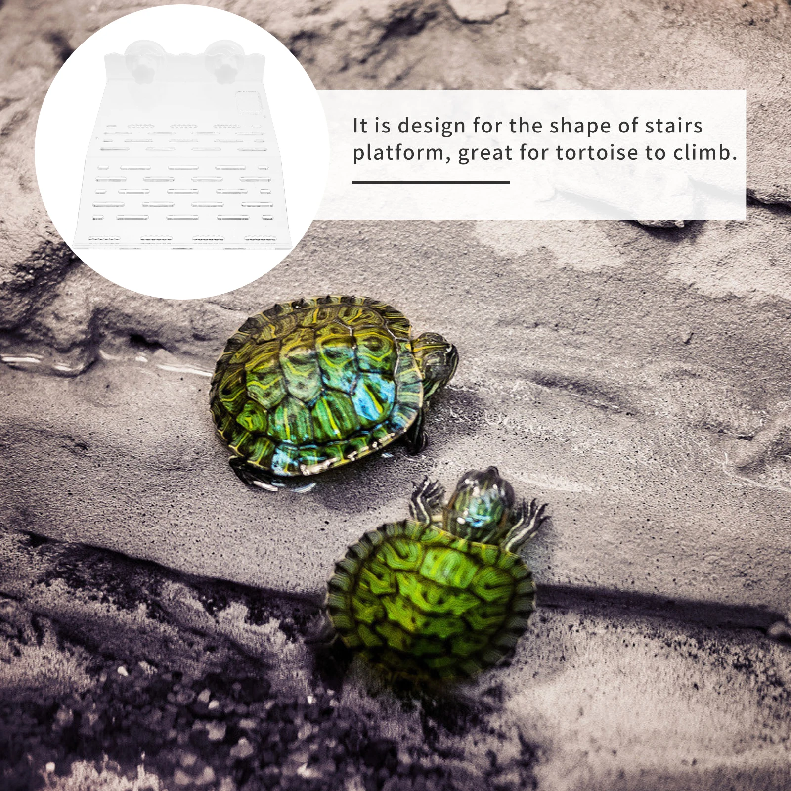

1pc Turtle Basking Platform Reptile Dock Tortoise Floating Platform Aquarium Terrace Suction Cup Fish Tank Accessory Plastic