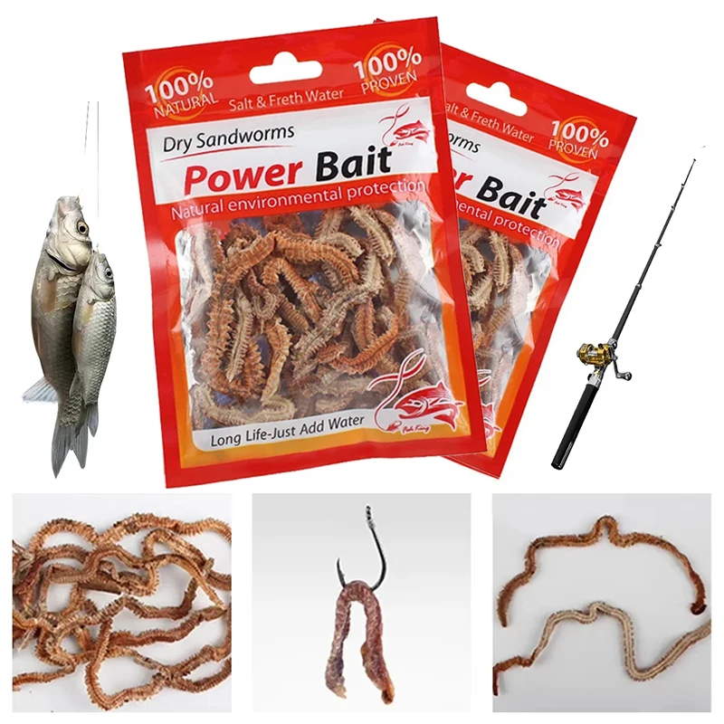 Señuelos de pesca de gusanos de arena secos, alimentador de agua dulce y salada realista, gusanos de pesca de mar, accesorios de cebo Artificial suave con olor