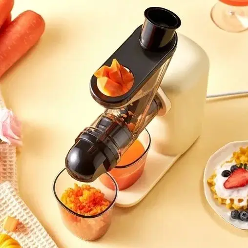 New Home Juicer Wit… - image