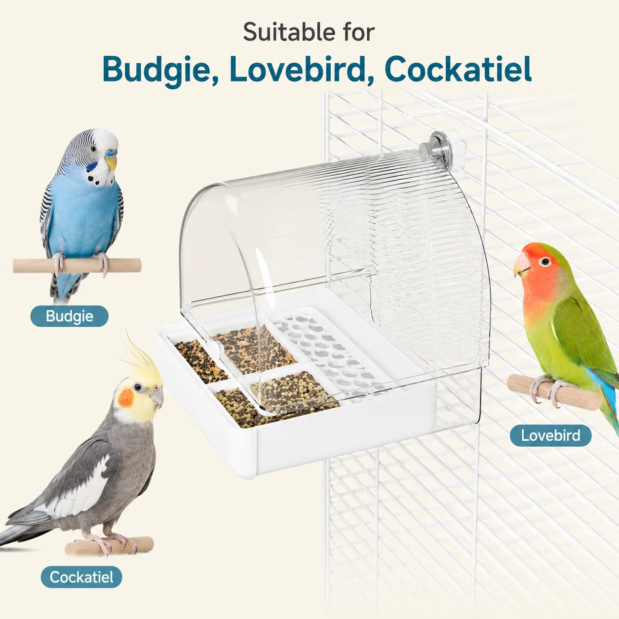Thumbnail 3 - #38 Compare Bird Cage Bird Baths Before You Buy