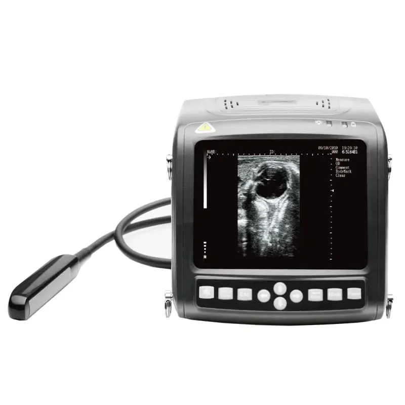 Kaixin Veterinaire Ultrasound Scanner Voor Zwangerschap Koe Met Rectale Sonde