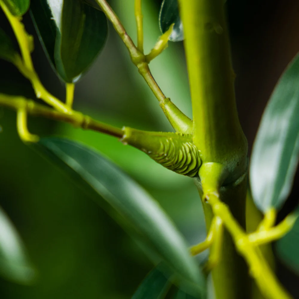 160-270 cm große künstliche Bambuspflanzen, künstliche Palme, Plastik-Bambusa-Blätter, tropischer Monstera-Baum für Haus, Garten, Laden, Dekoration – Detail 10