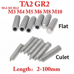 10 pcs M1.6 M2 M2.5 M3 M4 M5 M6 M8 M10 X 3-60 mm Pure Titanium TA2 GR2 Cup Point Flat Culet Headless Hex Allen Socket Screw Bolt