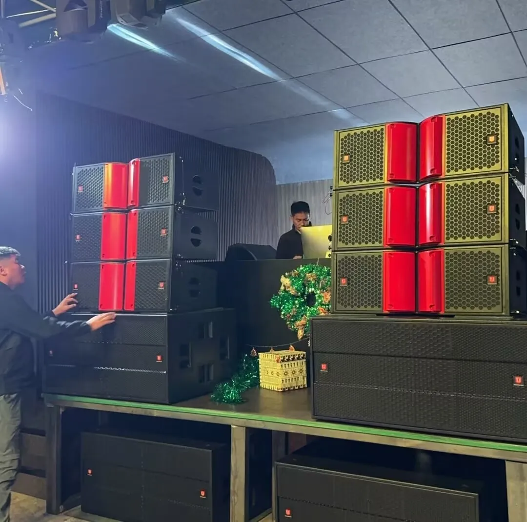 New Design Professional Active Speakers for Outdoor Show Stage Wedding Line Array Speakers Passive Professional
