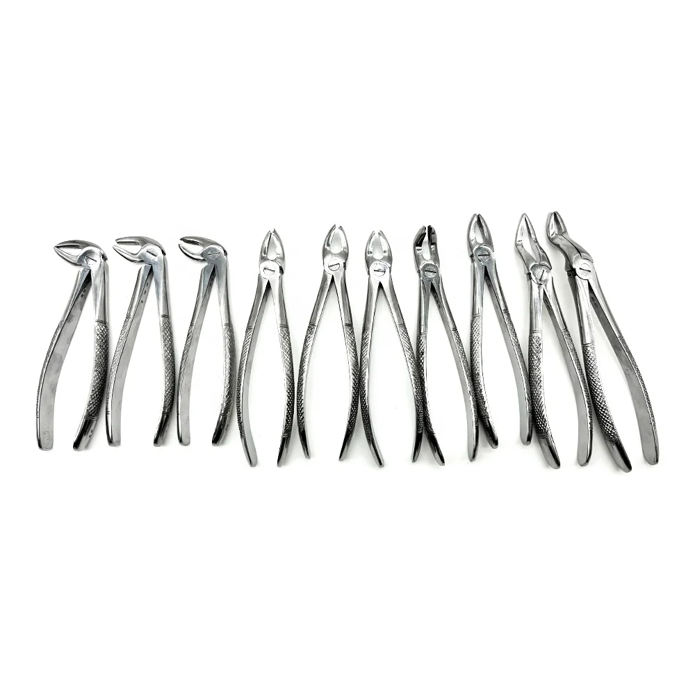 10Pcs High Quality Stainless Steel Dental Orthodontic Instruments Pliers Set