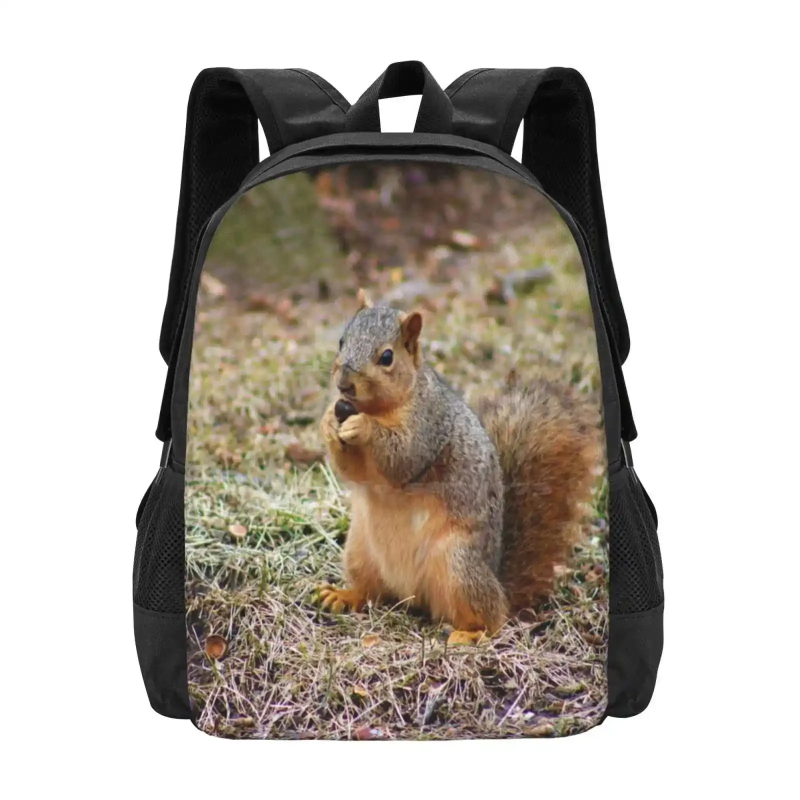 

Monch Time For Cutie Squirrel Hot Sale Schoolbag Backpack Fashion Bags Eastern Squirrel Cute Rodent Furry Sweet Eating Nut