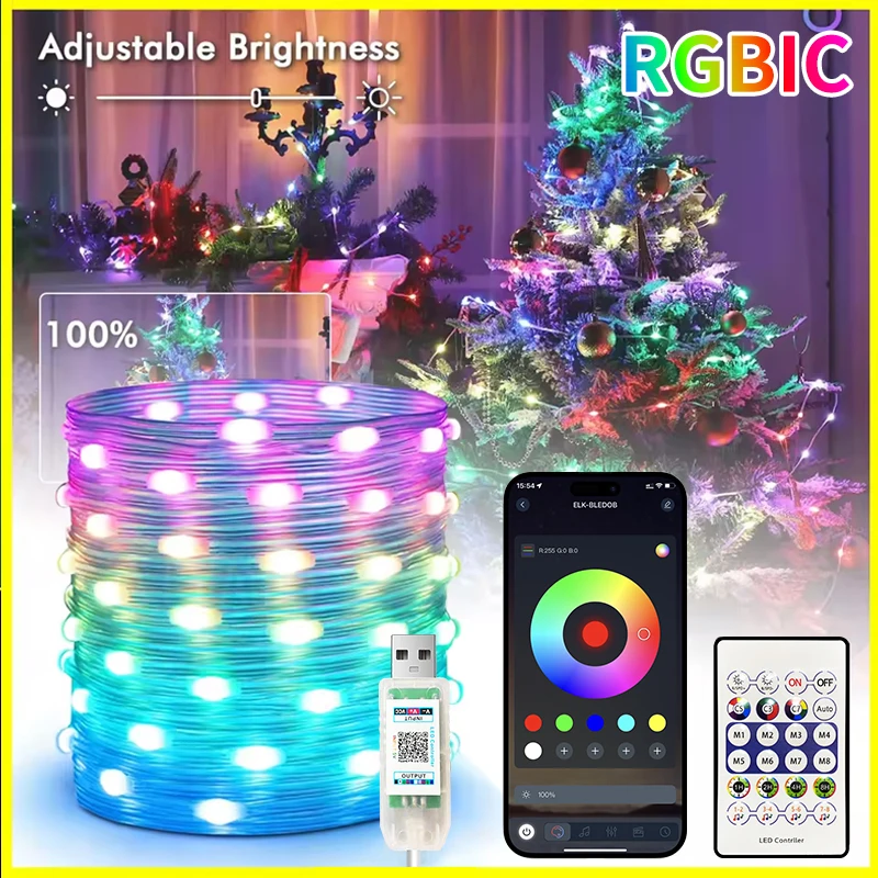 

5V USB RGBIC Fairy String Lamp Christmas Light Led Lights with Bluetooth APP and Remote Control for Christmas Decoration 2025