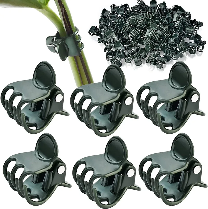 Orchid Stem Clip Plant Support Dark Green Plant Clips Vine Stem Flower Grow Upright Branch Clamp Garden Tool plant clips