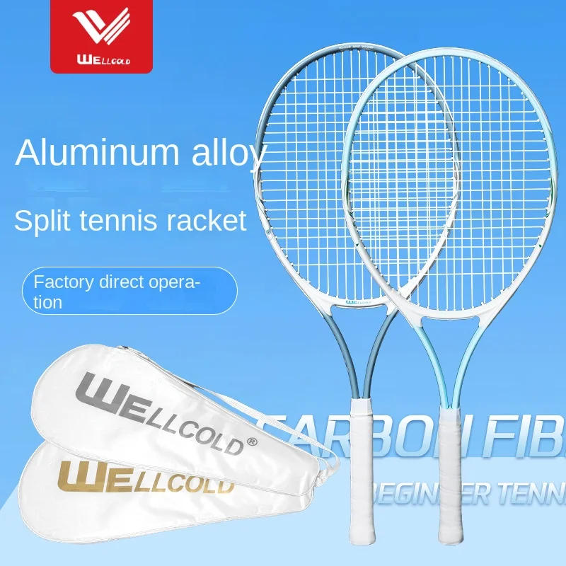 : Badmintonnetz