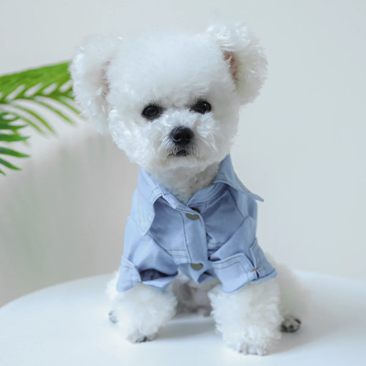 Denim Blue Shirt Costumes For Small Dogs Puppy Autumn Clothes XS XL Boy Uniform Pugs Chihuahua Apparel Yorkshire Terrier Suits