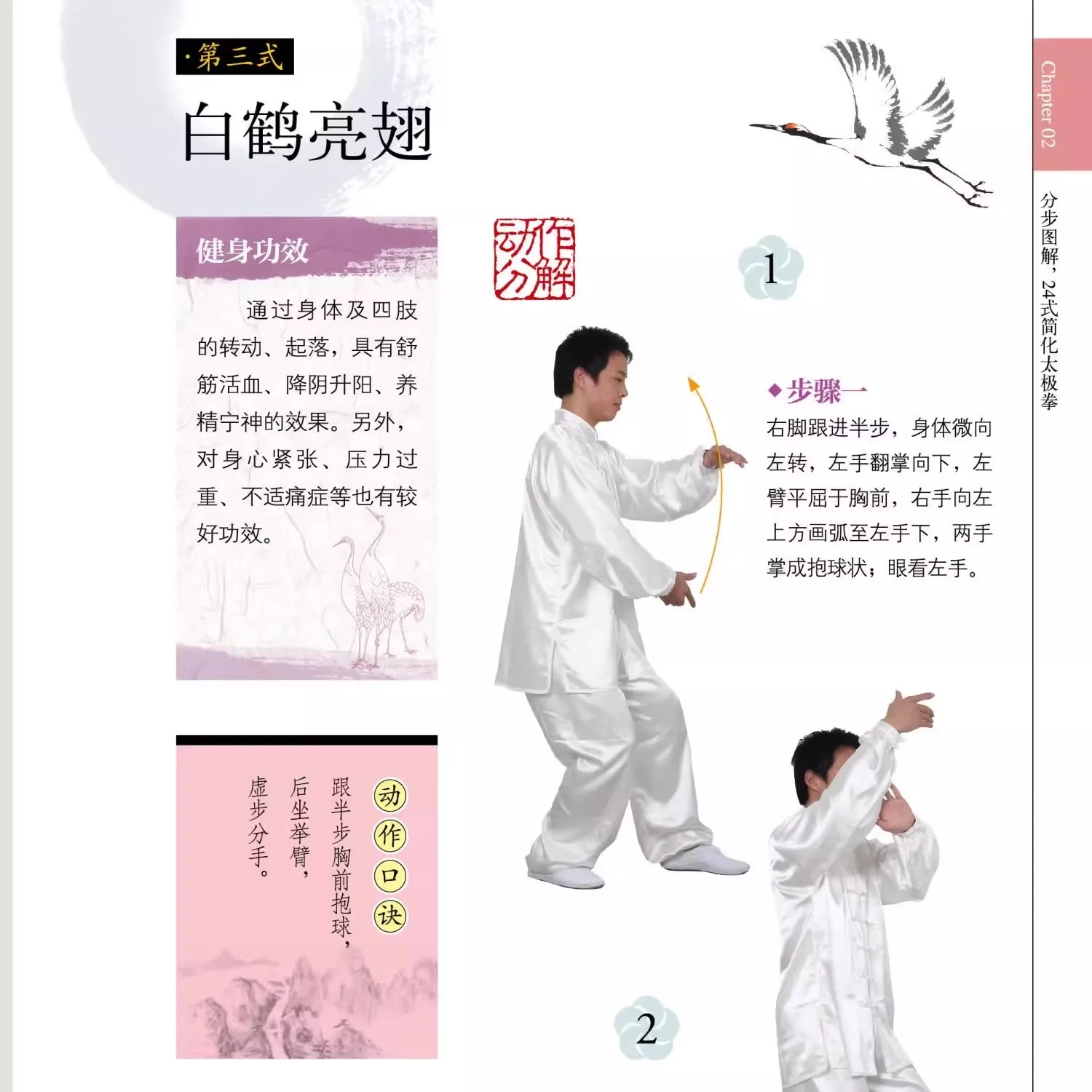 Livre d'arts martiaux chinois, Kung Fu, Micidal Strated Baduanjin, Taijiquan