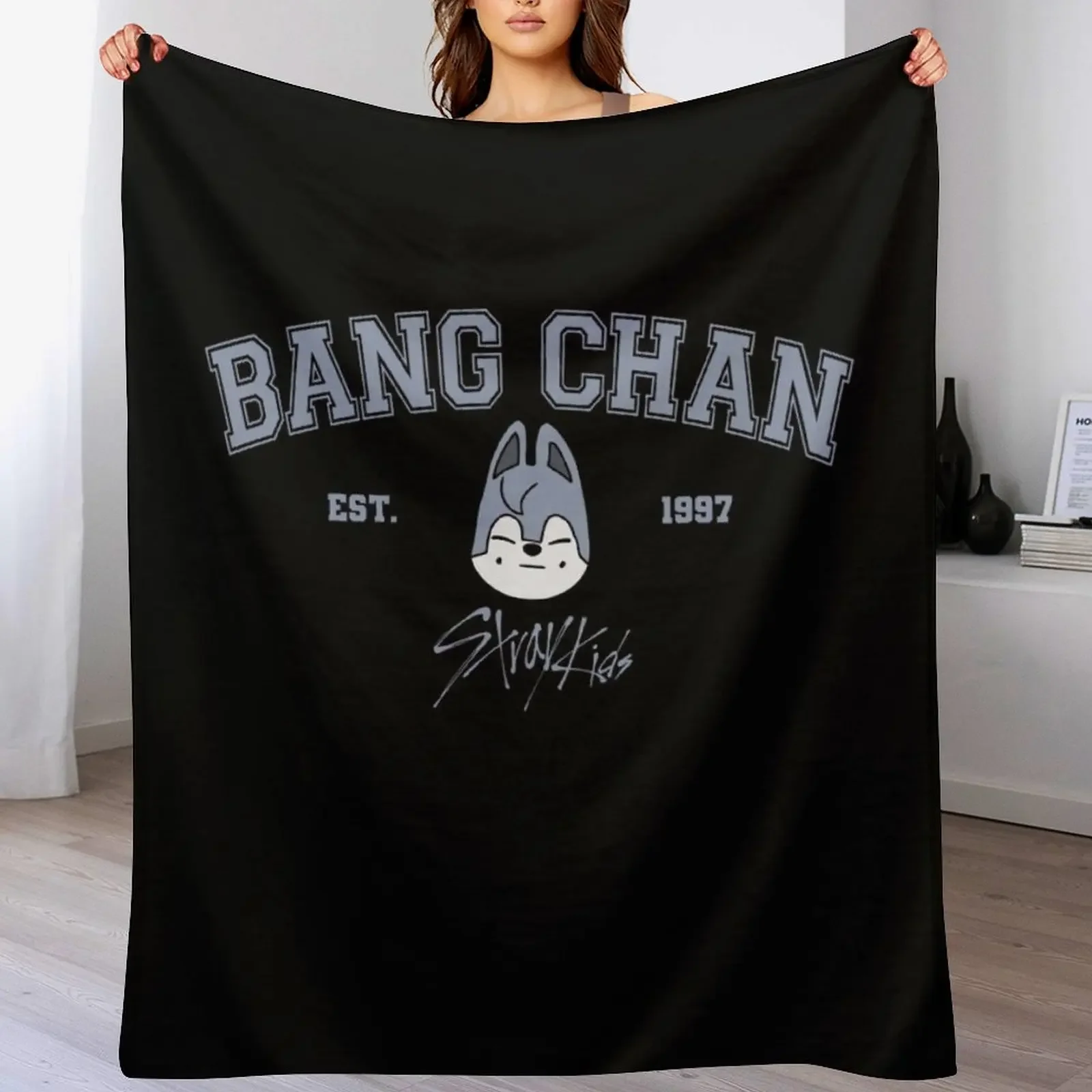 Bang Chan Throw Blanket bed plaid Beach Blankets