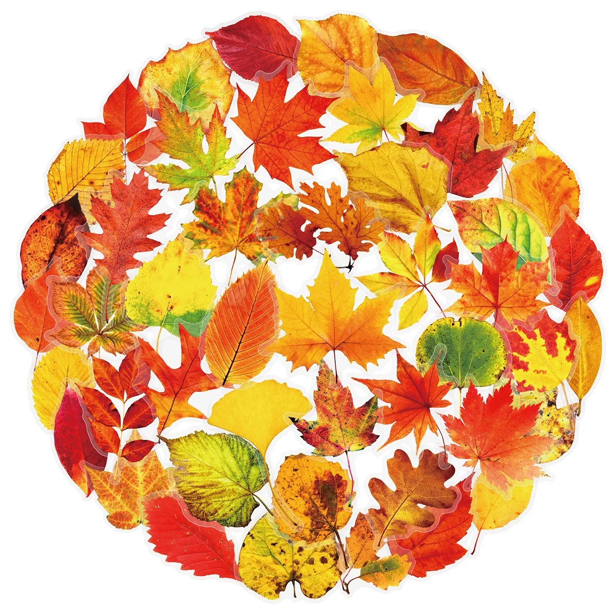 Рисунок 2 - прозрачные наклейки в скандинавском