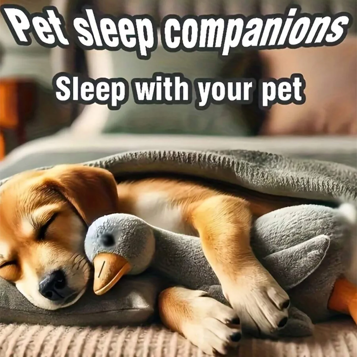 مجموعة من ألعاب البطة الناعمة القطيفة، أبيض/رمادي/بني، مناسبة للعب القطط والكلاب معها، تساعد الكلاب على اللعب ونفق الطاقة، مناسبة للحيوانات الأليفة الصغيرة والمتوسطة الحجم (يضى موصى به للحيوانات الأليفة الكبيرة).