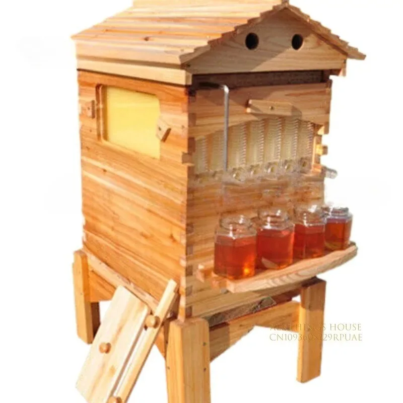 Golden Automatic Hive 2 Beehive 7Pcs Box Flows Frame