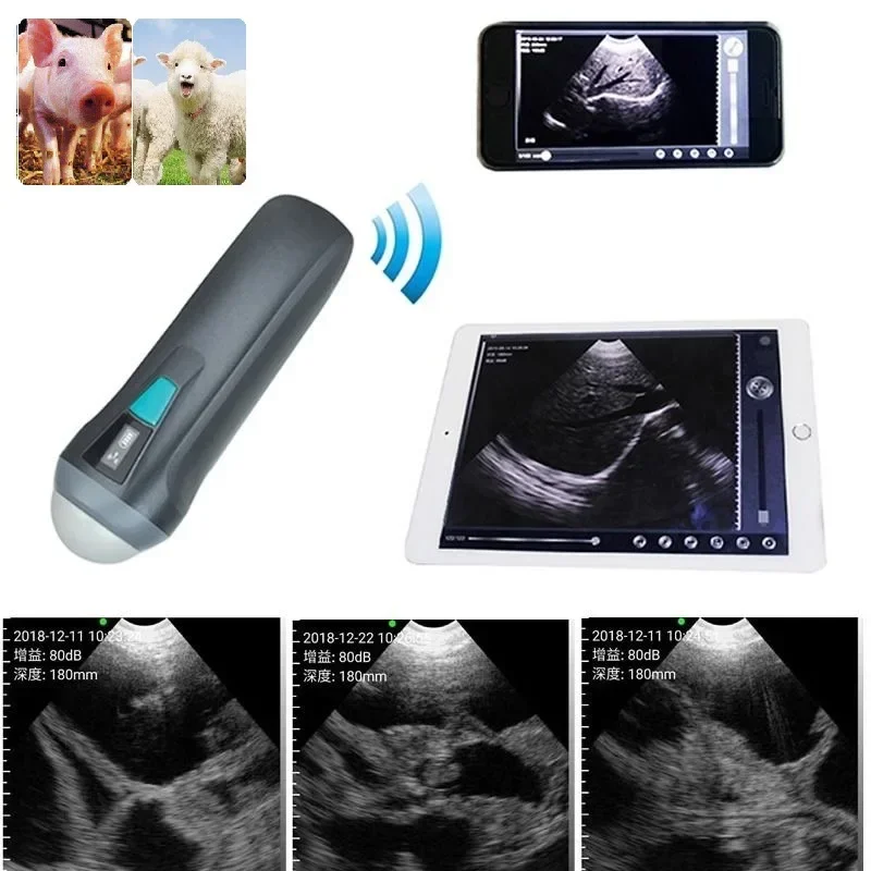 MC100vet Powerful veterinary software wireless type mechanical sector probe for pig and sheep's  diagnosis