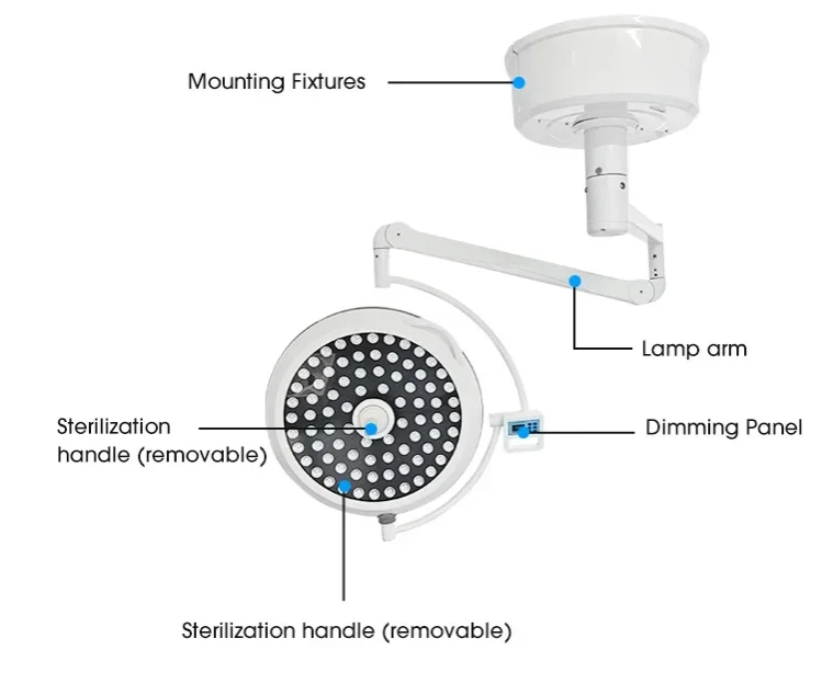 Veterinary Instruments Wall‑Mounted LED Shadowless Electric Operation Lamp Metal Mount Medical  Lighting