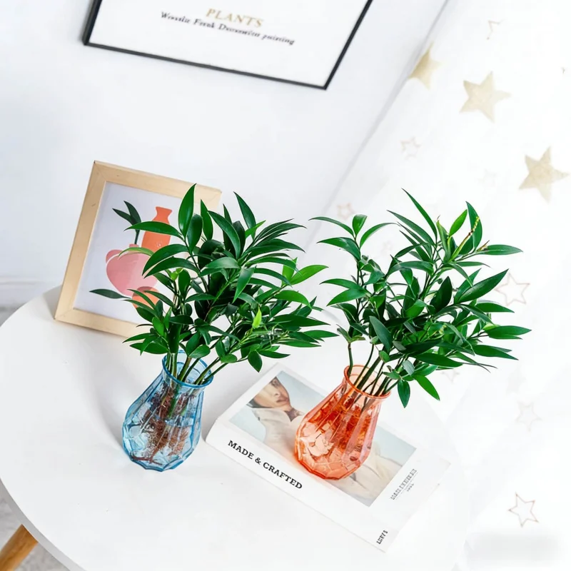 Hydroponic Vase for Green Radish and Copper Coin Grass, Transparent Plastic Creative Home Decor Ornament, Water Cultivation Flow