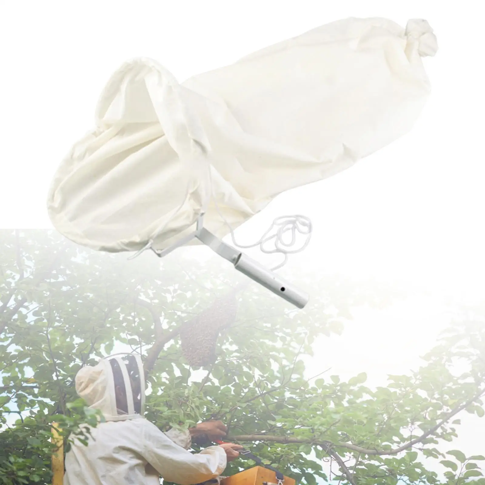 Bee Swarm Cage Lightweight Beekeeper Tool for Outdoor Beekeeper Honey Bee