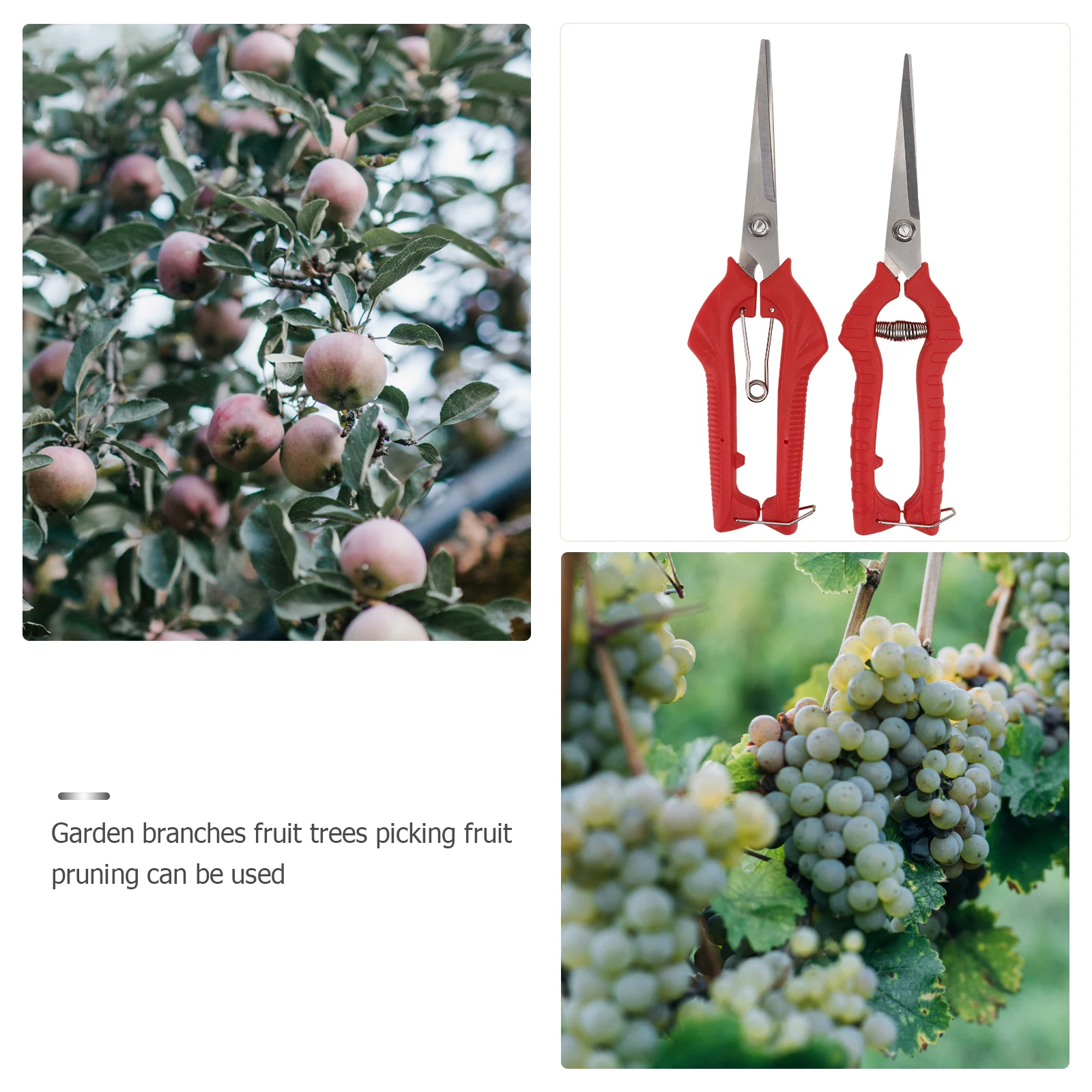 

2Pcs Premium Garden Pruning Shear Branch Trimming Scissor Comfortable Grip Practical Durable Tool for Flowers and Trees Red