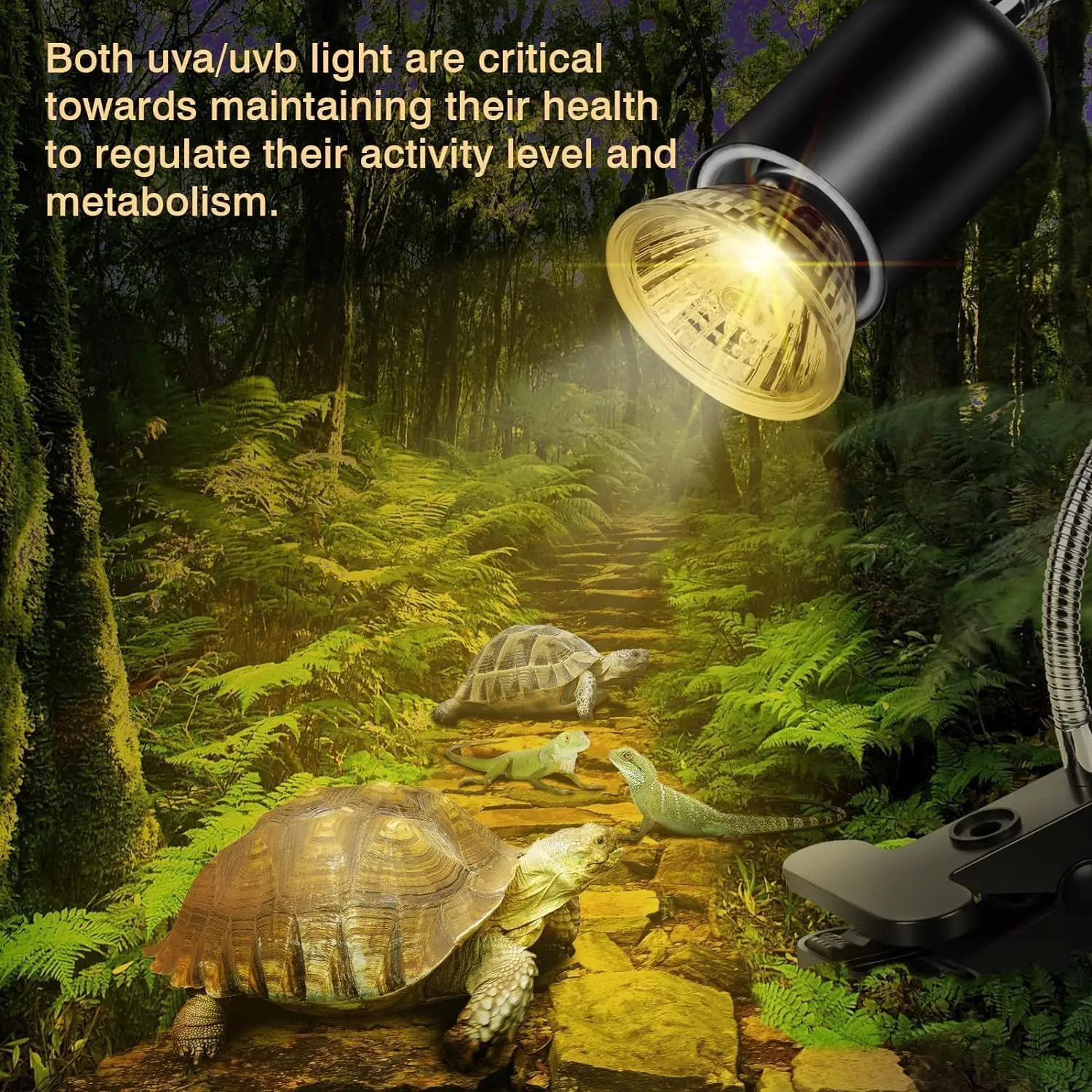 Reptile Lamp Bulb Set with Clip Turtle Bulb Heat Lamp Holder kit Thermometer Hygrometer Tortoises Basking Heating Lamp Kit