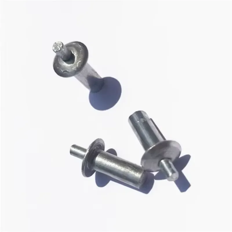 Flat Round Head Striking Aluminum Rivet with Semi-circular Head Core