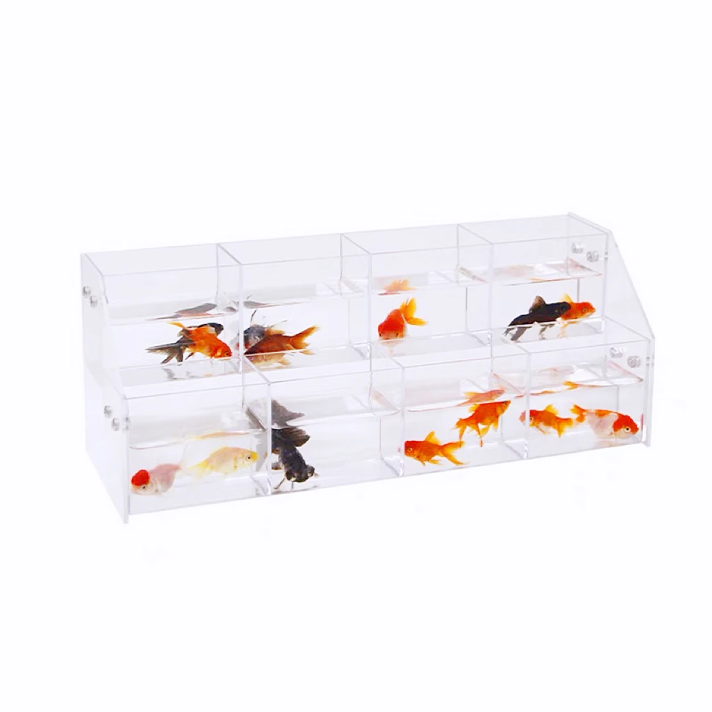 Creative Betta Fish Tank Aquarium decoration Live Streaming of Betta Fish Competions Christmas Gifts Home Decorations