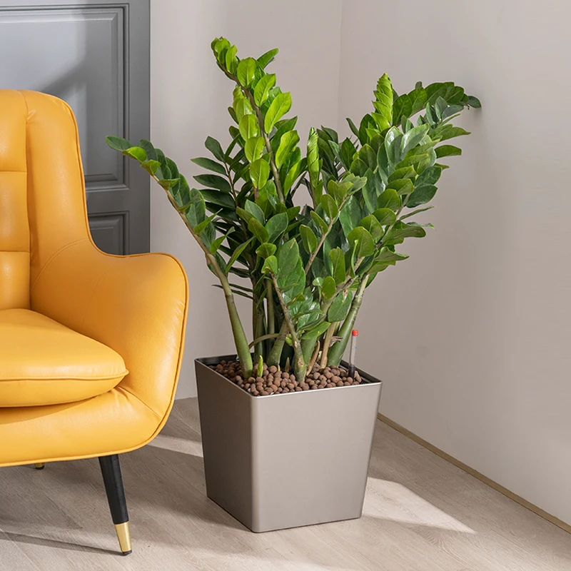 Geldboom Bloempot Lui Zelfabsorberende Woonkamer Vloer Staande Grote Vierkante Hars Hoogwaardige Water Opslag Pot Geen Water