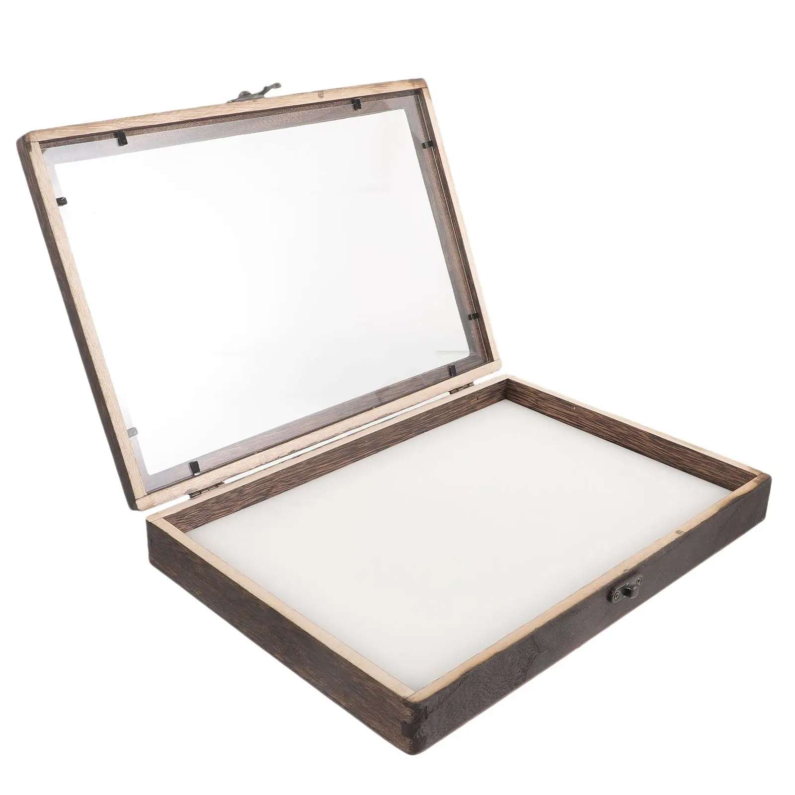 Raupen Insekten Display Box Fall Insekten Nadel Pad Kaffee Flanell Entomologie Kind