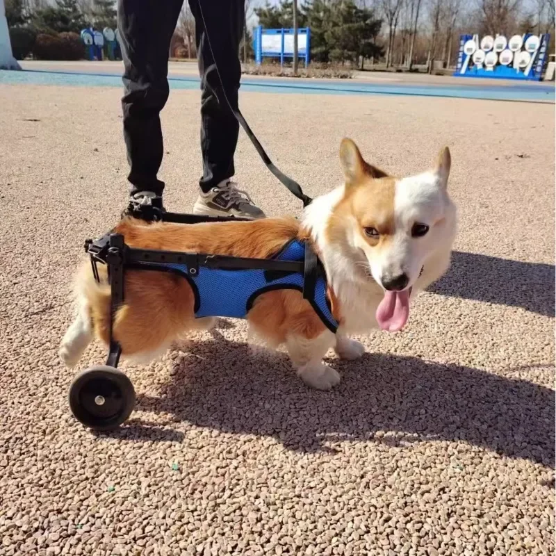 Dog Wheelchair Hind Limb Paralysis Portable Pets Mobility Scooter Disabled Dogs Hind Leg Support Pet Products Accessories