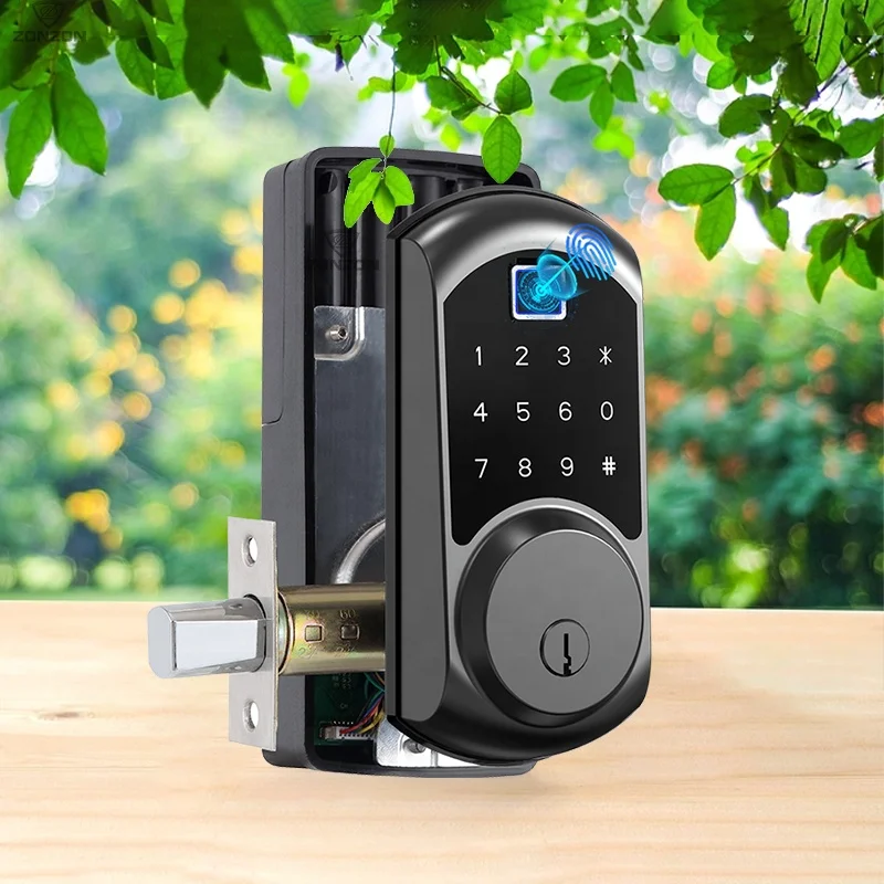 Codice cancello impermeabile Serratura digitale domestica Porta di casa senza chiave Serratura intelligente con maniglia per porta con impronta digitale con Wifi Tuya