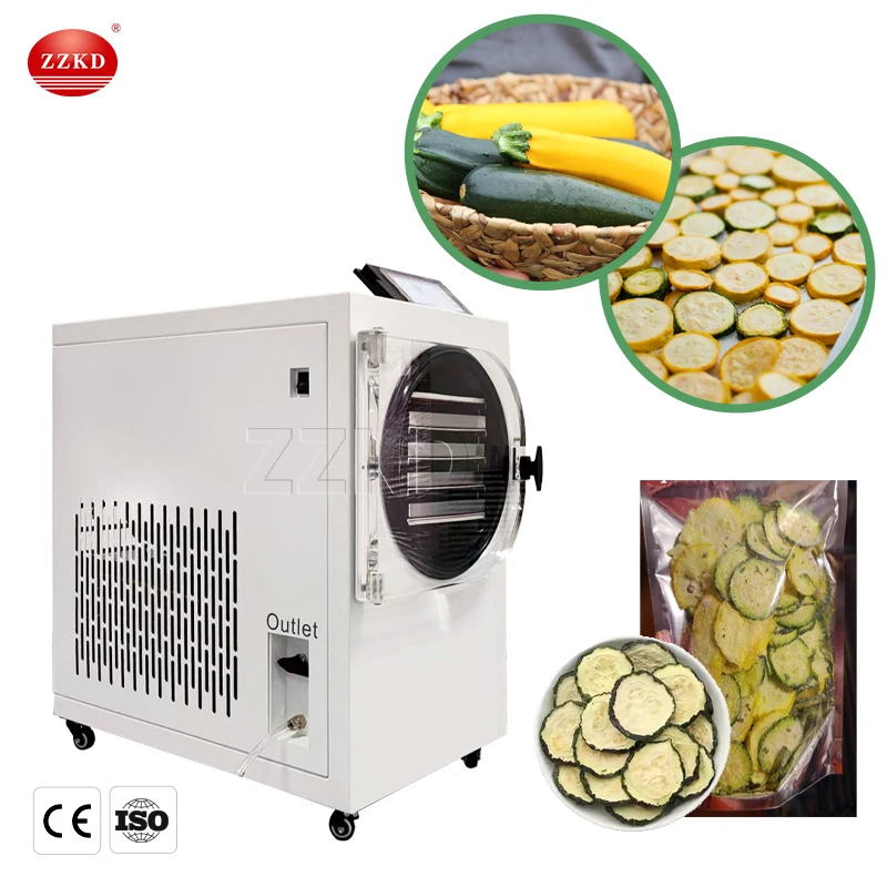 Small Freeze Dryer Home Use Mini Meat Fruit Food Drying Machine Dry Machine Freeze Drier Freeze Dried Machine