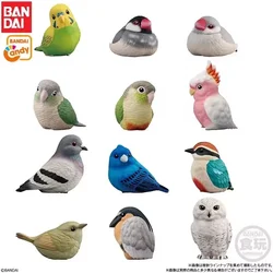 Hot Genuine Bandai Palm Bird Cherry Wenbird Car Crown Cinnamon Parrot Eight Color Snowy Owl Action Figures Box Egg Gift Toy