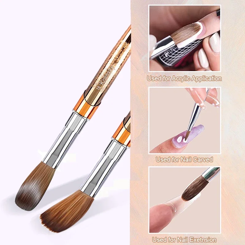 

100% Kolinsky Acrylic Nail Brush Oval Crimped Gold Relief Handle Professional Salon Quality for Acrylic Powder Size 2-18#