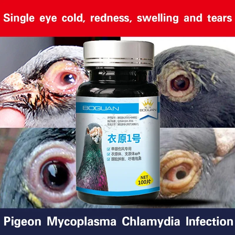 

Pigeon Racing Pigeons With Chlamydia Mycoplasma Monocular Cold Eyes Tearful Birds Parrots