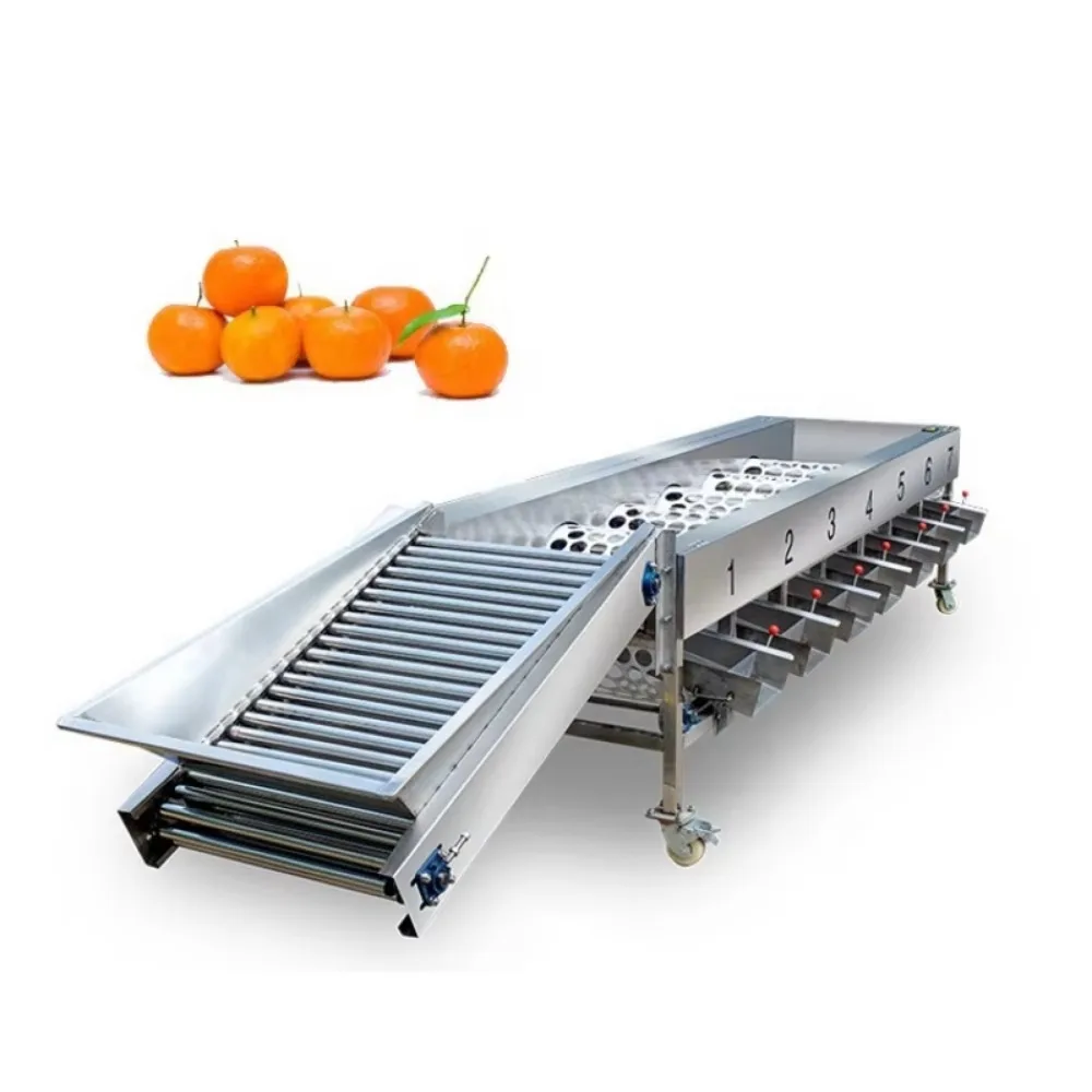 Automatic Fruit Grading Machine 6 Grades Vegetable Weight Sorting Equipment CFR by SEA Shipping