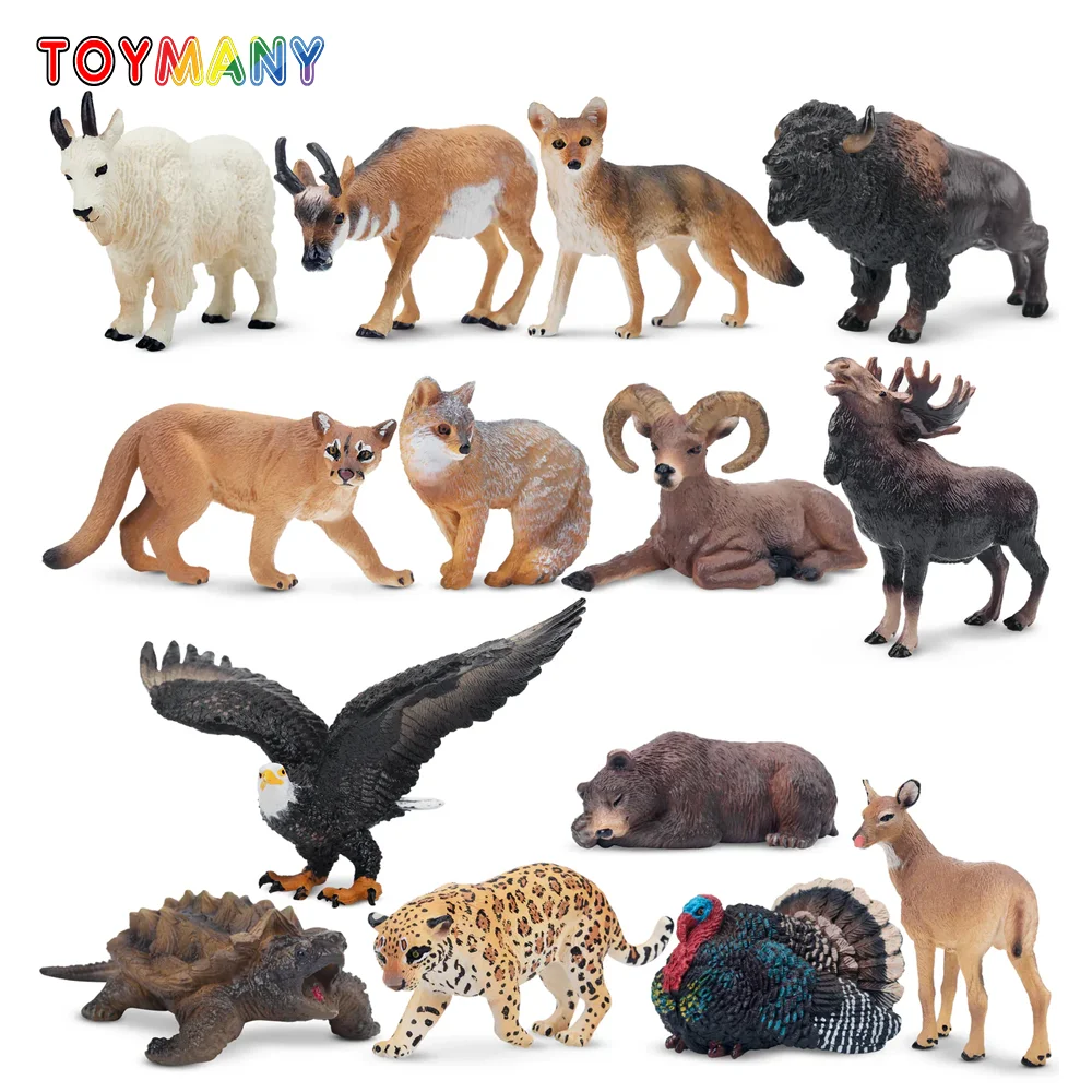 Toymany Simulation Mini North American Animals Model Toy 14 pcs Mini Figures Dolls Action Figurines Toys Children Gift Cake Dec