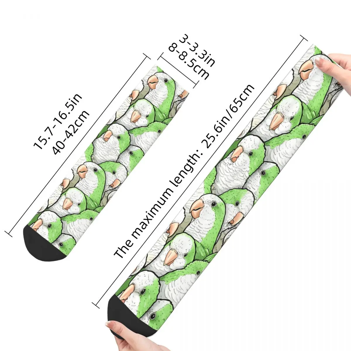 Funny Men's Socks Green Quaker Monk Parakeets Vintage Parrot Pet Bird Harajuku Novelty Crew Sock Gift Pattern Printed