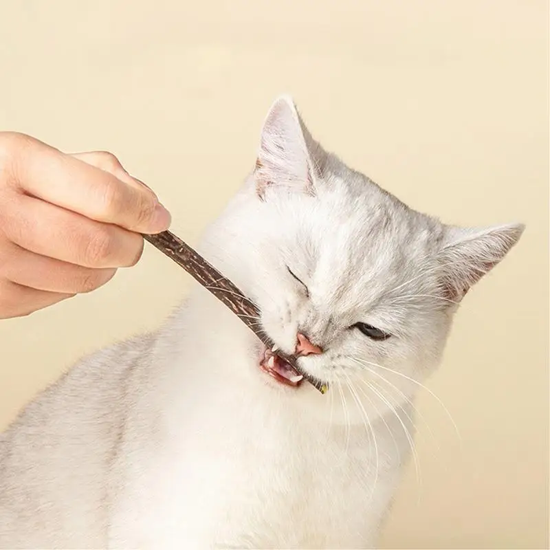 Cat Chew Sticks Toy 30-Pcs Interactive Kitten Toys Catnip Sticks For Teeth Cleaning Cat Chewing Snacks Increase Appetite Pet