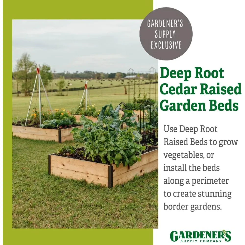 Company Cedar Raised Garden Bed | Outdoor Planter Box w/Extra Deep Height for Rooted Plants, Herbs Flowerbed&4' W x 4' L x 14