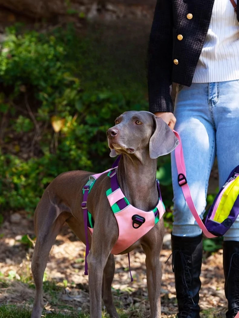 Trend Contrasting Color Pet Chest Strap Night Reflective and Explosion Proof Traction Products for Large Medium and Small Dogs