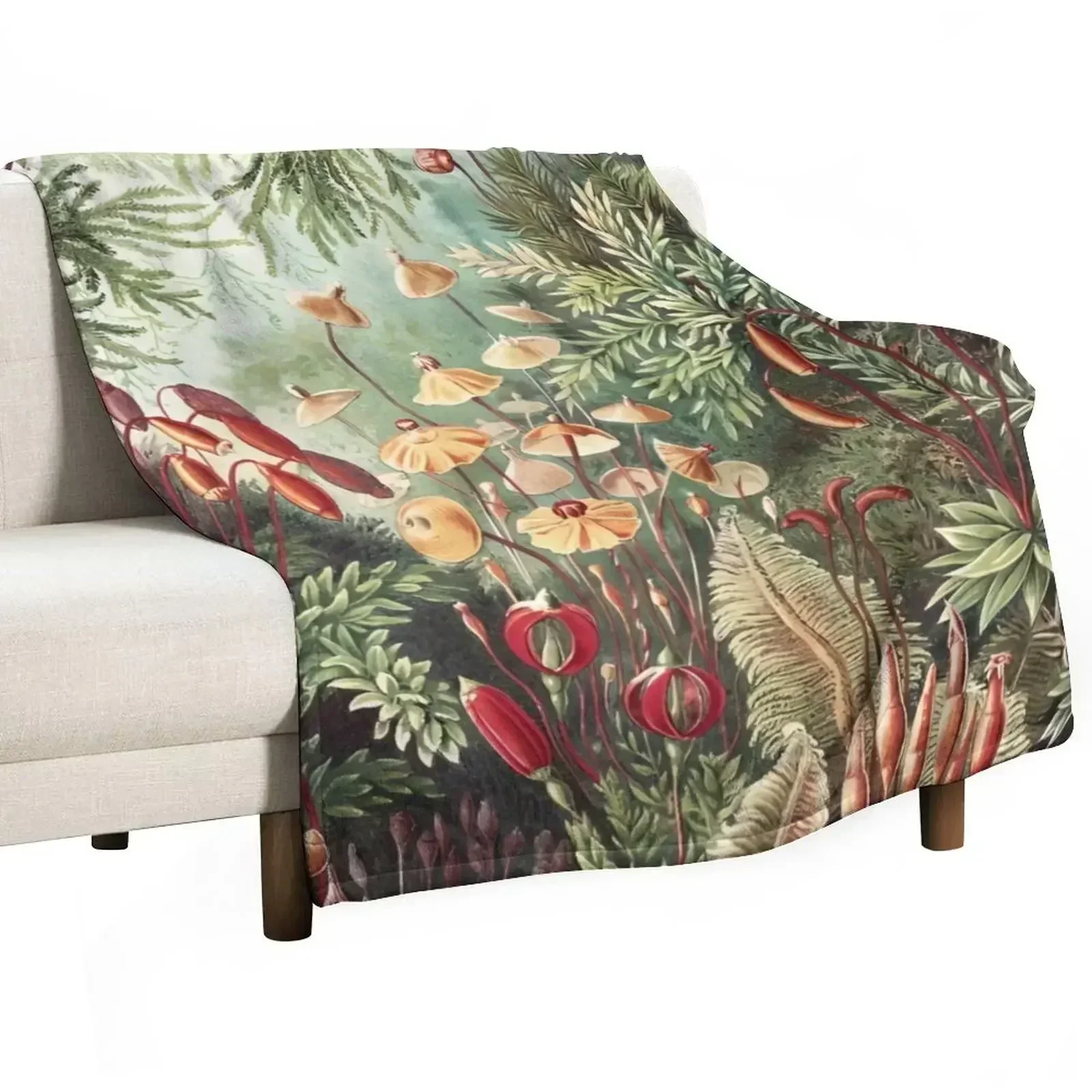 

Mosses - Ernst Haeckel Throw Blanket Soft Plush Blanket as Housewarming Gift