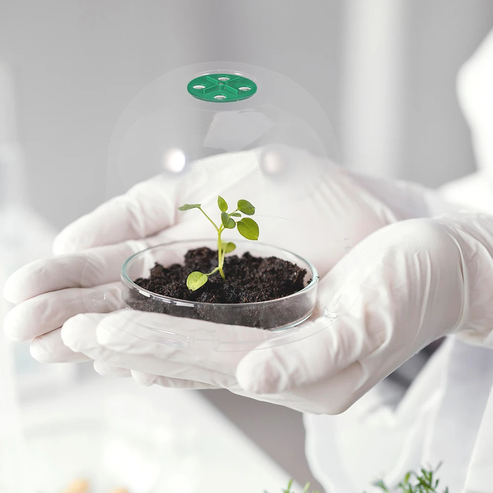 

3 Pcs Nursery Cover Container Plants Weather Dome Insulation Propagation Pet Pot Protection Plastic Cloches for Greenhouse