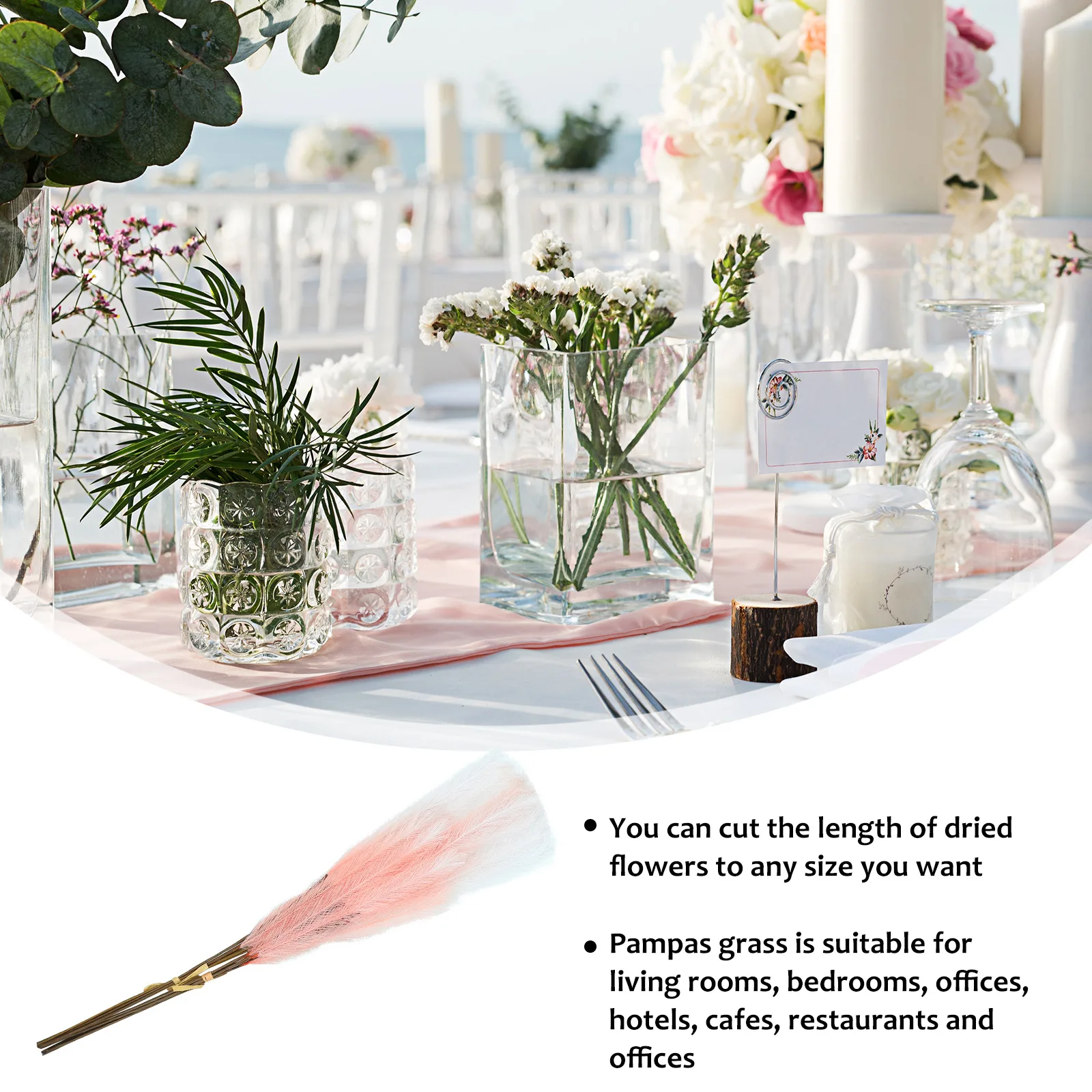 

10Pcs Preserved Flower Reed Bouquet Easy Maintenance Natural Feel Home Decoration Accessory Simulated Reed Bouquet