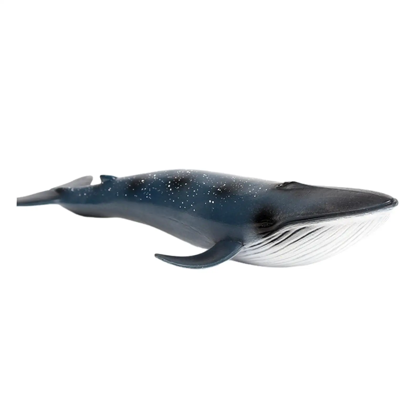 Colección de modelos de ballena azul, figuras de ballena, modelo de juguete para niños y niñas