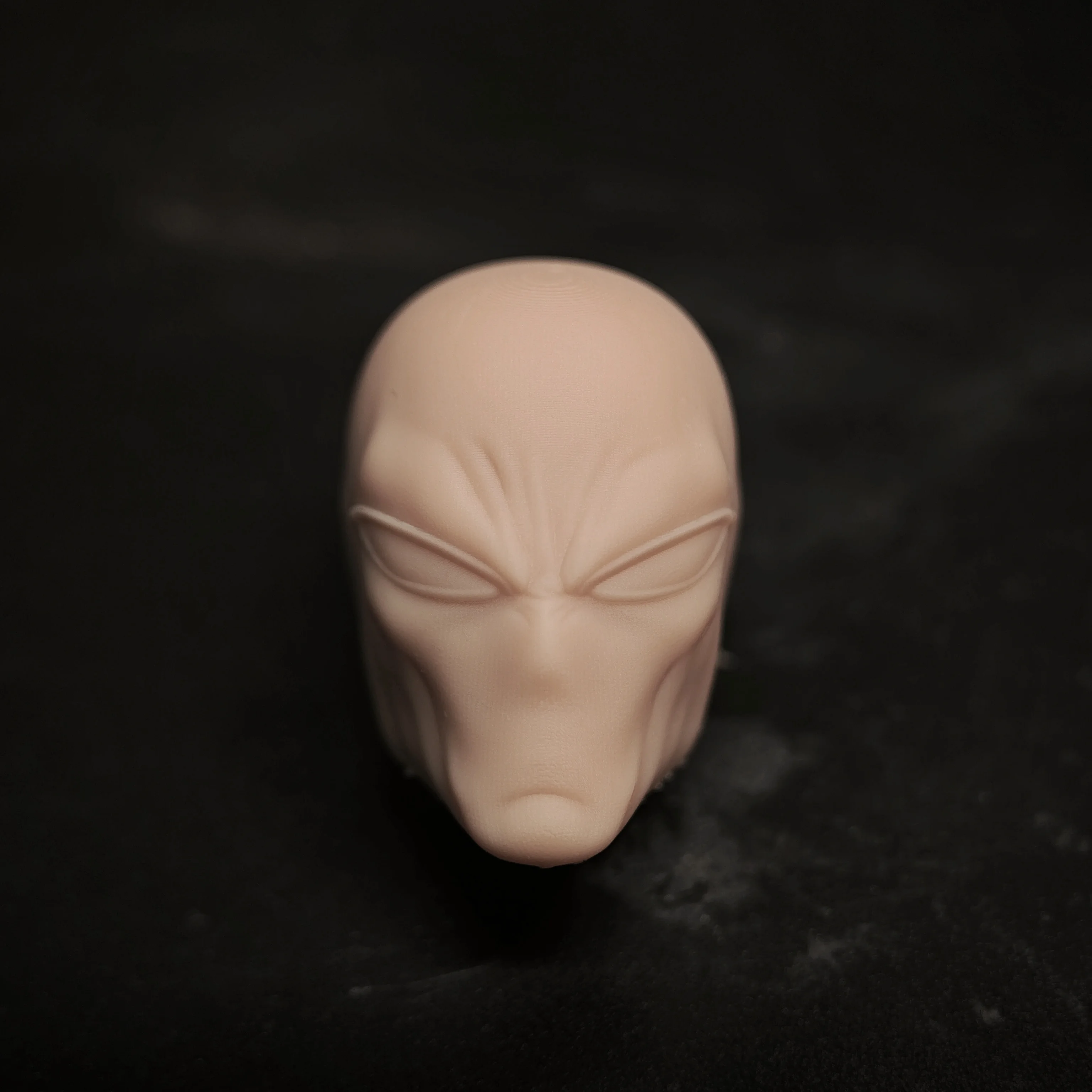 HL1685 DIY Customized 1/18 1/12 1/10 Scale Unpainted Head Sculpt for 3.75